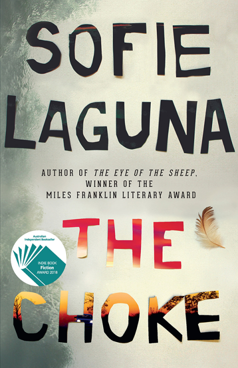 Cover image for book The Choke