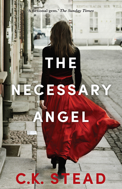 Cover image for book The Necessary Angel