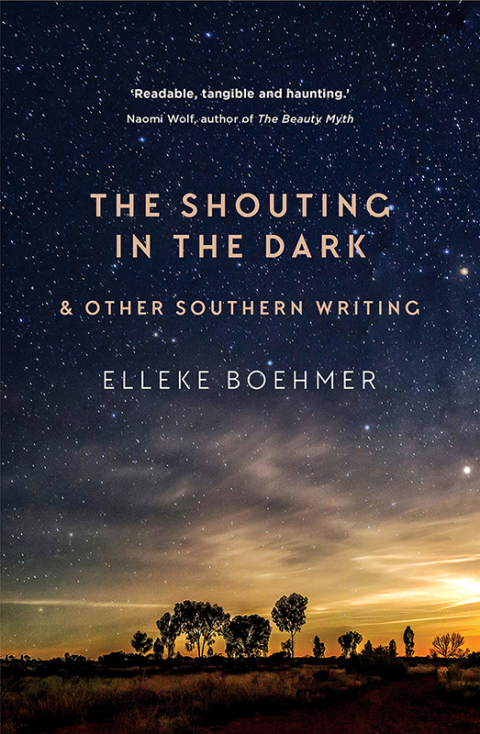 Cover image for book The Shouting in the Dark