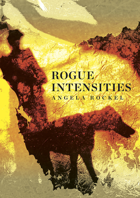 Cover image for book Rogue Intensities