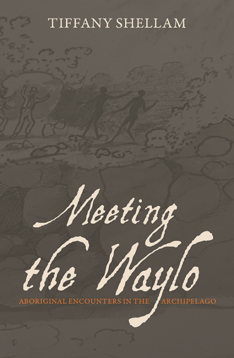 Cover image for book Meeting the Waylo