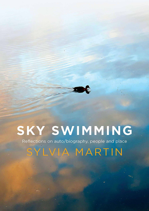Cover image for book Sky Swimming