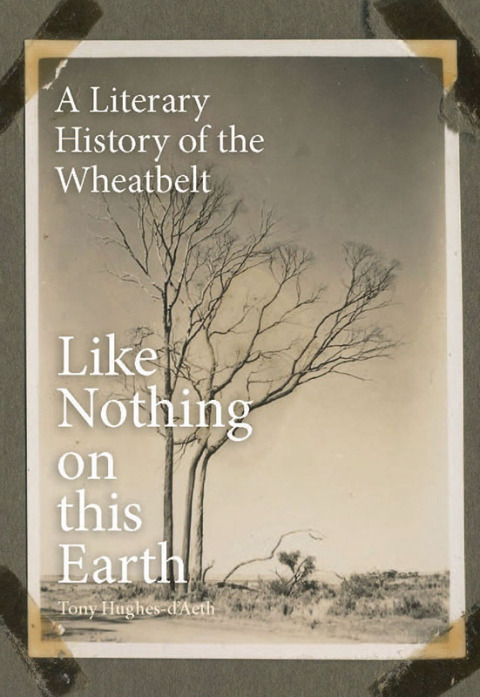 Cover image for book Like Nothing on this Earth
