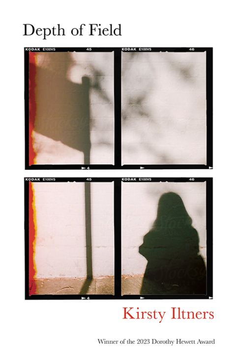 Cover image for book Depth of Field