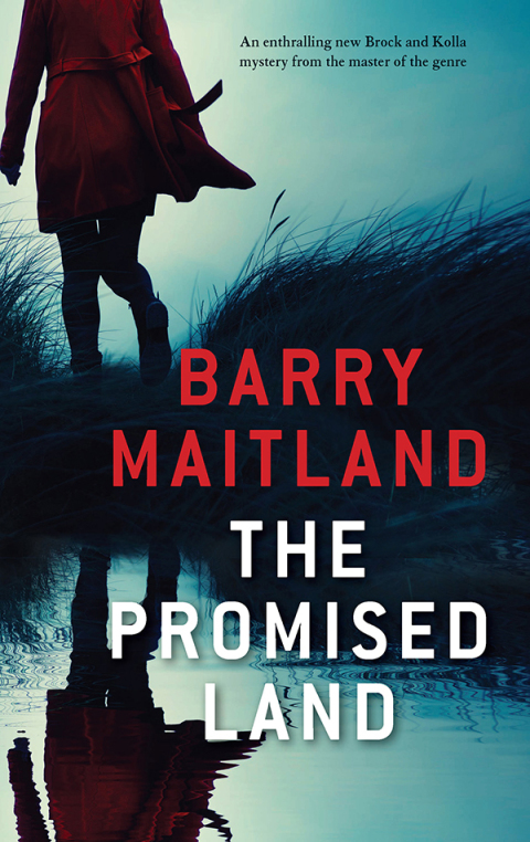 Cover image for book The Promised Land