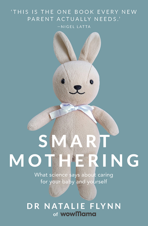 Cover image for book Smart Mothering