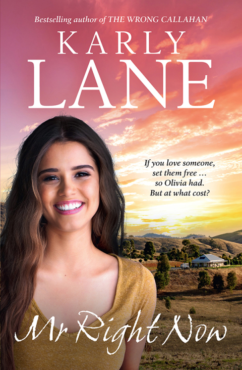 Cover image for book Mr Right Now