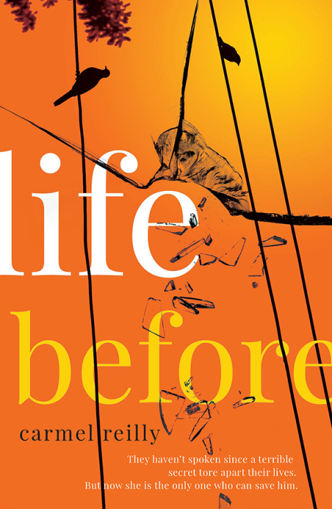 Cover image for book Life Before