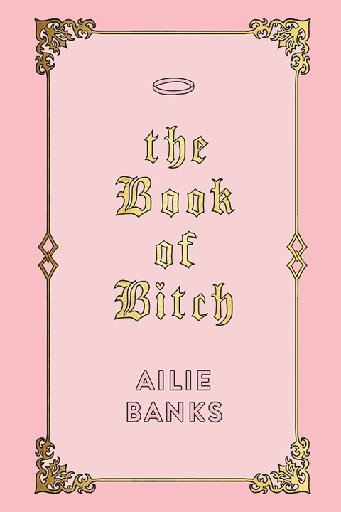 Cover image for book The Book of Bitch