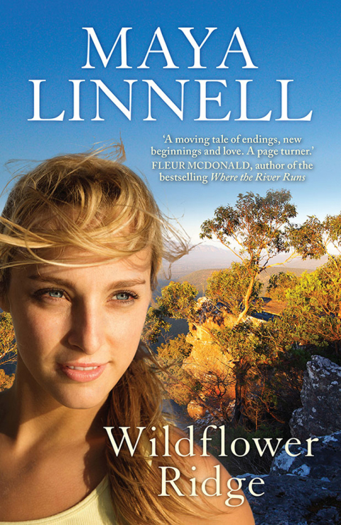 Cover image for book Wildflower Ridge