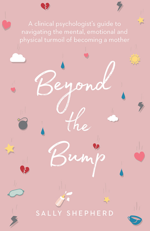 Cover image for book Beyond the Bump
