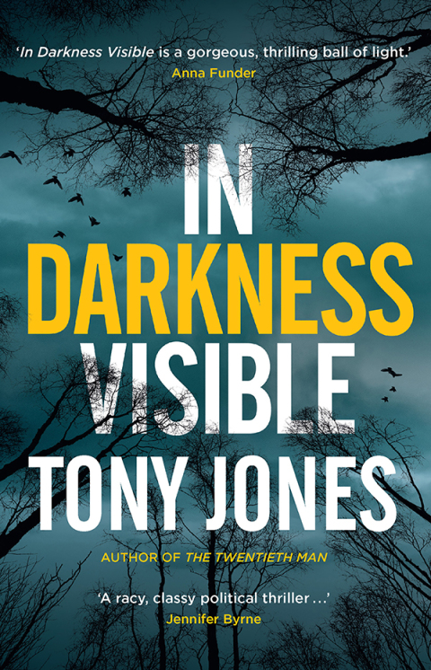 Cover image for book In Darkness Visible