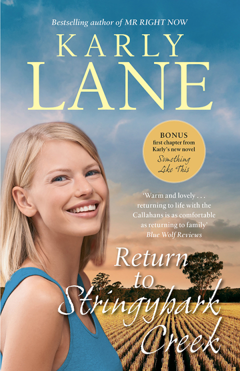 Cover image for book Return to Stringybark Creek
