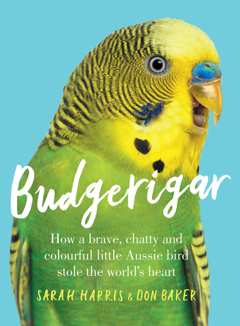 Cover image for book Budgerigar