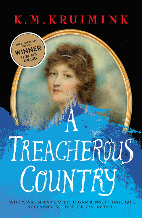 Cover image for book A Treacherous Country