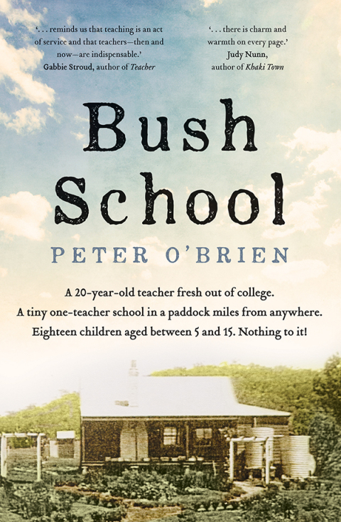 Cover image for book Bush School