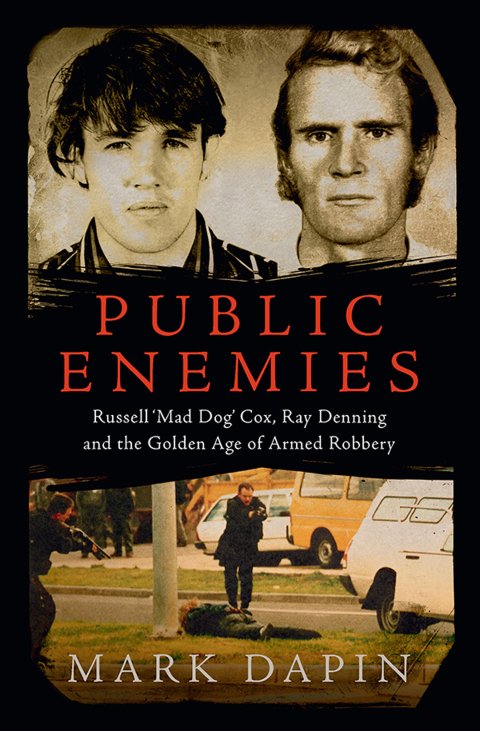 Cover image for book Public Enemies