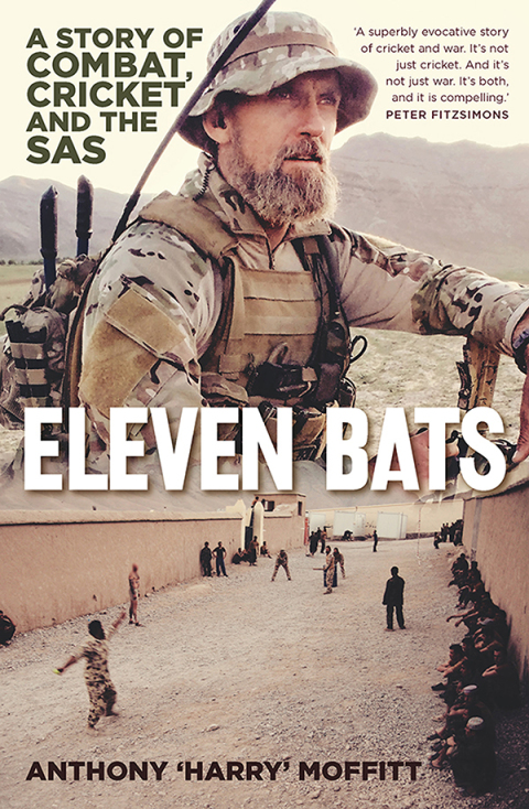 Cover image for book Eleven Bats