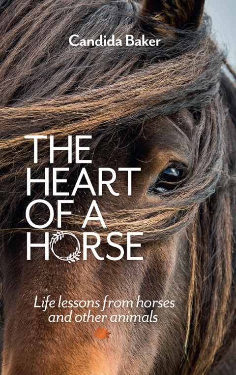 Cover image for book The Heart of a Horse