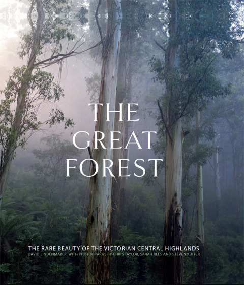 Cover image for book The Great Forest