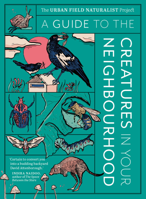 Cover image for book A Guide to the Creatures in Your Neighbourhood