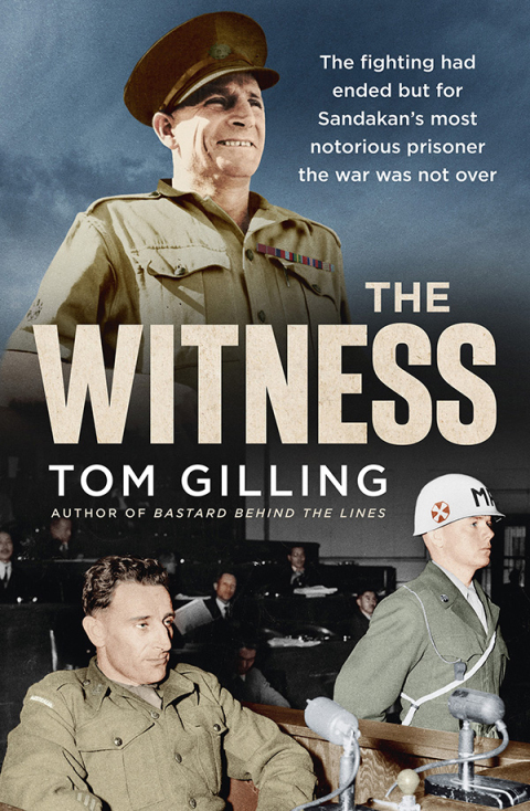 Cover image for book The Witness