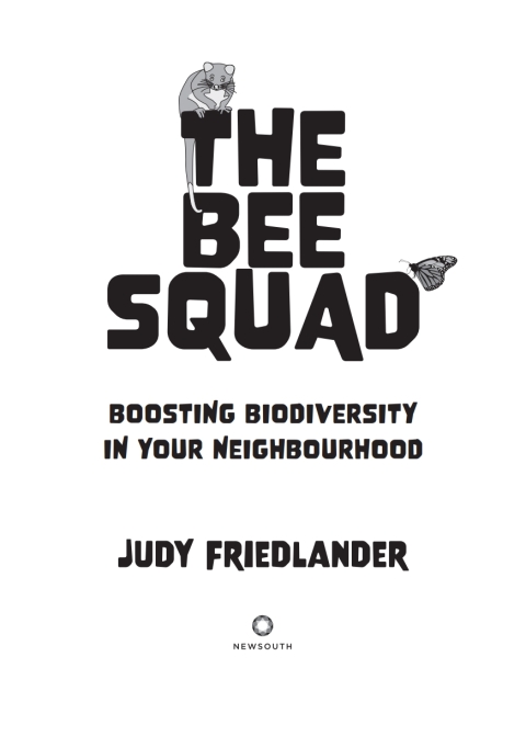 Cover image for book The Bee Squad