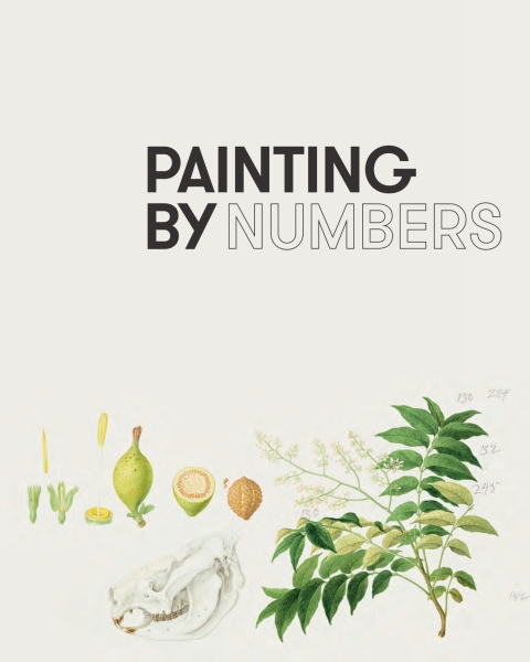 Cover image for book Painting by Numbers