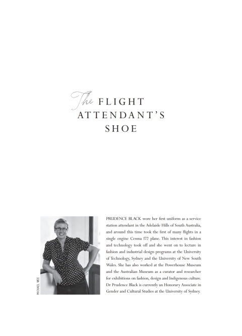 Cover image for book The Flight Attendant's Shoe