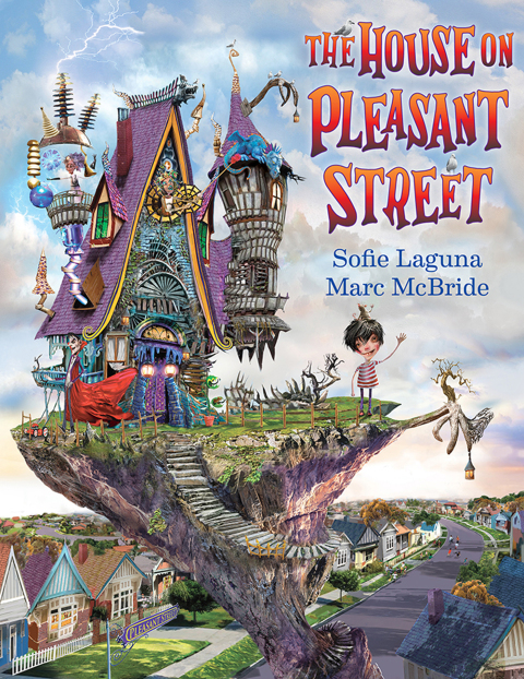 Cover image for book The House on Pleasant Street