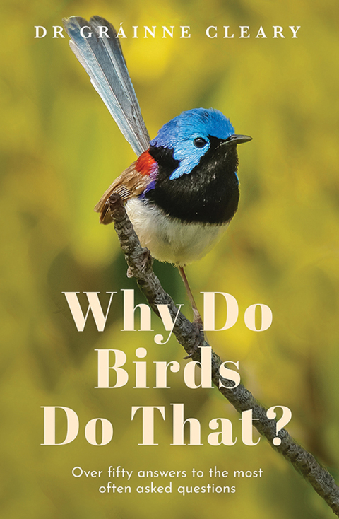 Cover image for book Why Do Birds Do That?