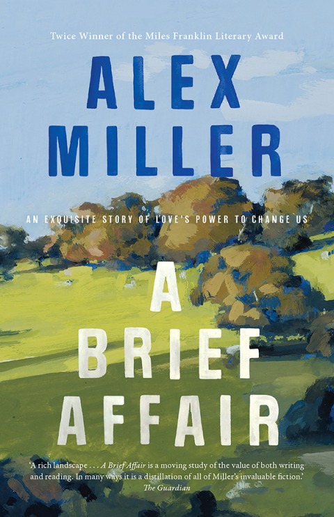 Cover image for book A Brief Affair