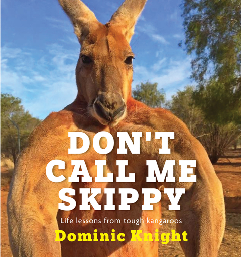 Cover image for book Don't Call Me Skippy