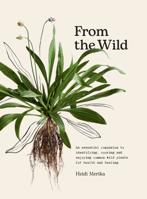 Cover image for book From the Wild