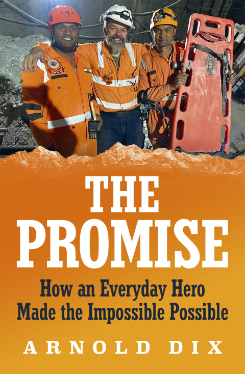 Cover image for book The Promise