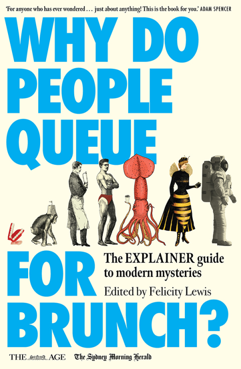 Cover image for book Why Do People Queue for Brunch?