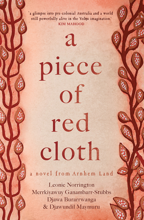 Cover image for book A Piece of Red Cloth