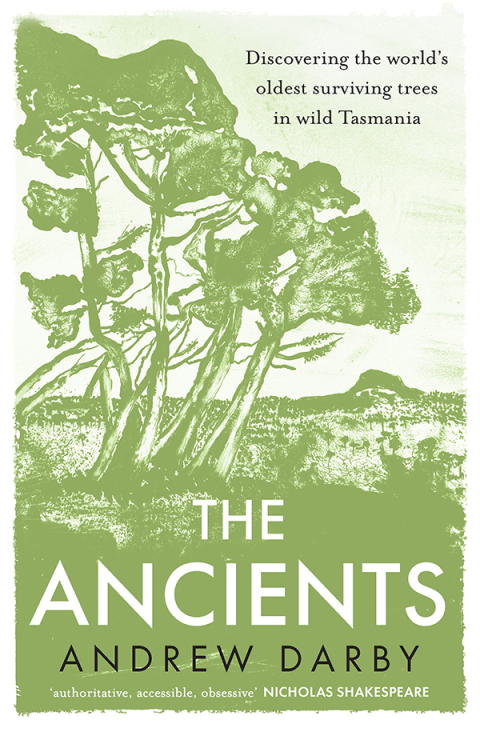 Cover image for book The Ancients