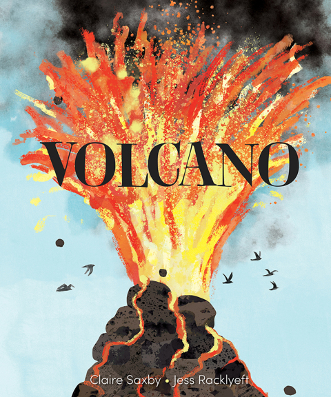 Cover image for book Volcano
