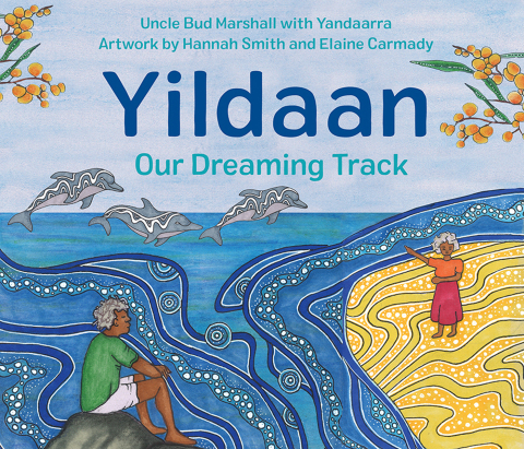 Cover image for book Yildaan
