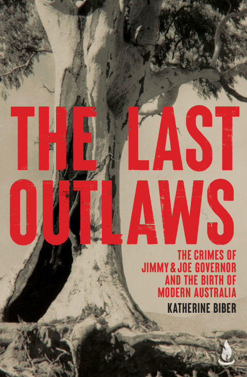 Cover image for book The Last Outlaws
