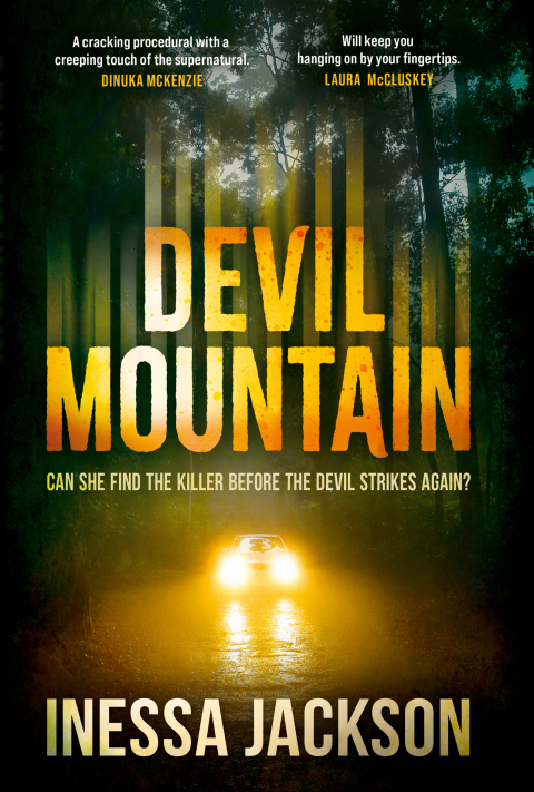 Cover image for book Devil Mountain