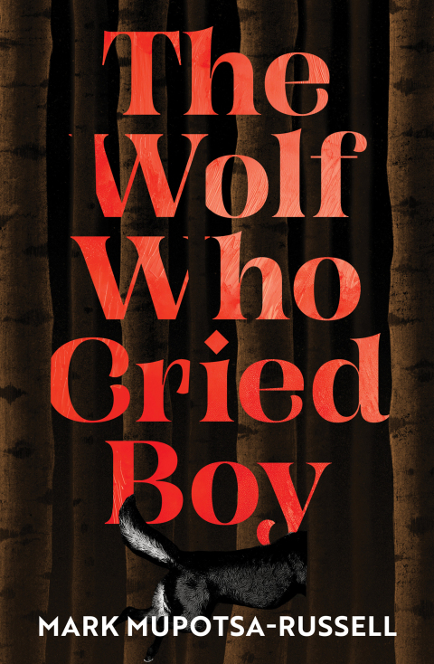 Cover image for book The Wolf Who Cried Boy
