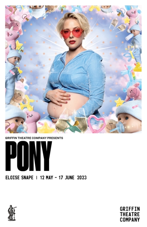 Cover image for book Pony