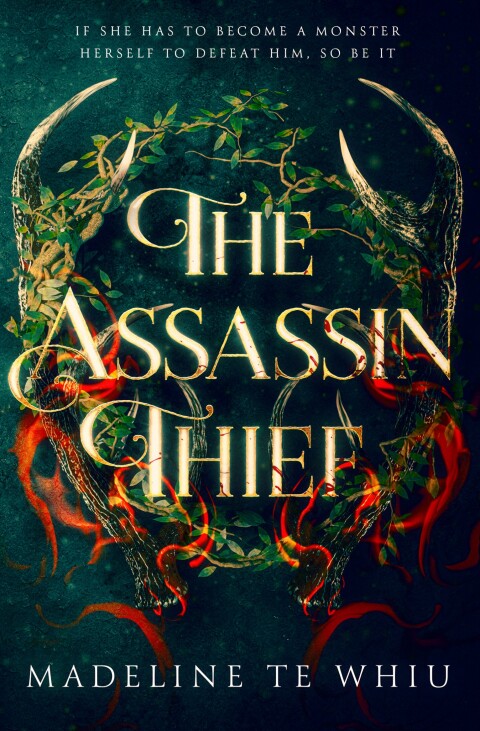 Cover image for book The Assassin Thief