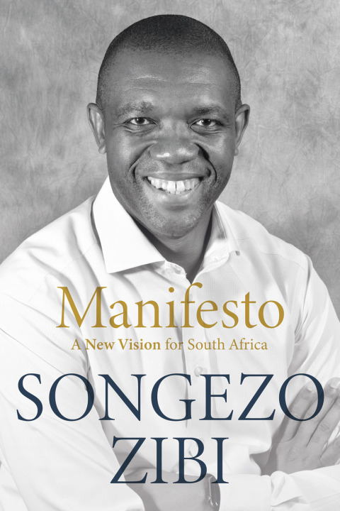 Cover image for book Manifesto
