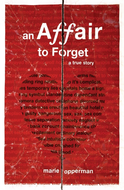 Cover image for book An Affair to Forget