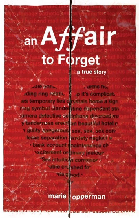 Cover image for book An Affair to Forget