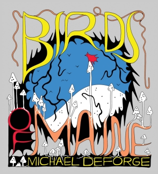 Birds of Maine