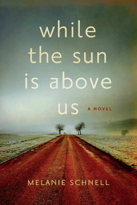 Cover image for book While the Sun Is Above Us